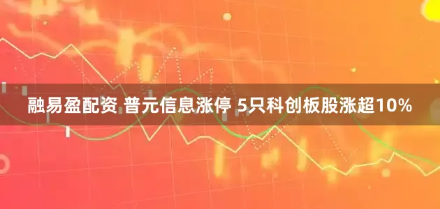 融易盈配资 普元信息涨停 5只科创板股涨超10%