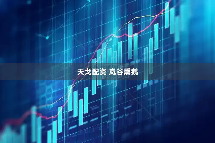 天戈配资 岚谷熏鹅